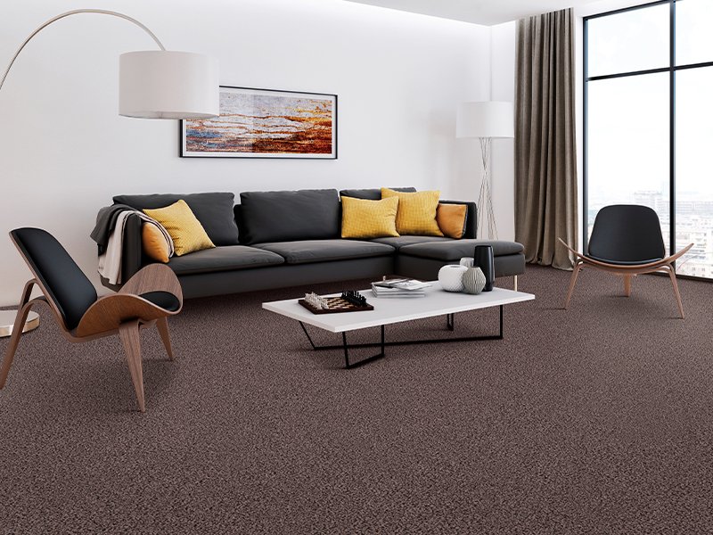 Learn more about carpet flooring with these facts